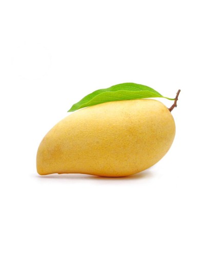 Mango Thailand kg