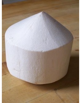 Nuca de cocos fresh 1 buc