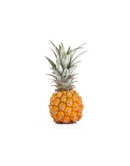 Ananas baby kg
