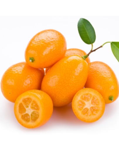 Kumquat