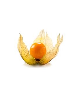 Physalis 100 g