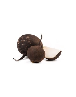 Ridiche neagra