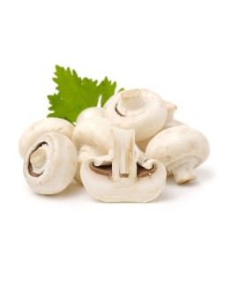 Ciuperci Champignon