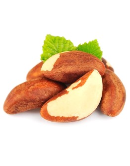 Nucă braziliană
