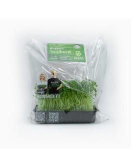 Microplante vii Broccoli 50 g