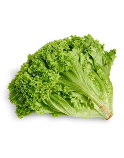 Salată Lollo Bianda